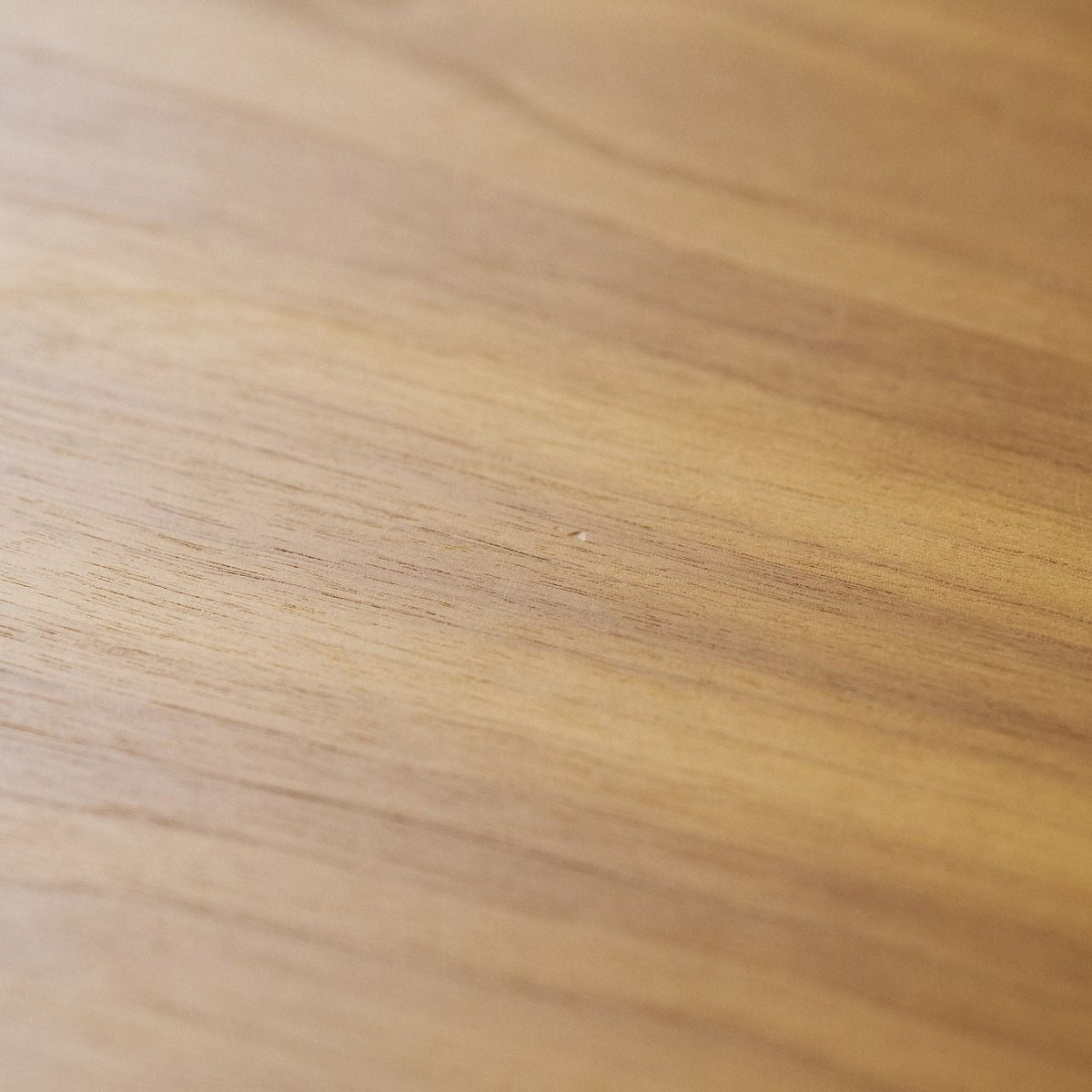 【店頭在庫品】FRITZ HANSEN（フリッツハンセン）/TABLE SERIES（テーブルシリーズ）/Super Elliptical table（スーパー楕円テーブル）B613/ダイニングテーブル/ウォルナット/ウォームグラファイト脚/180×120cm